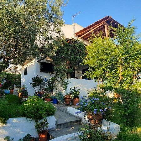 Вілла Sonia'S House With Garden Геракіні Екстер'єр фото