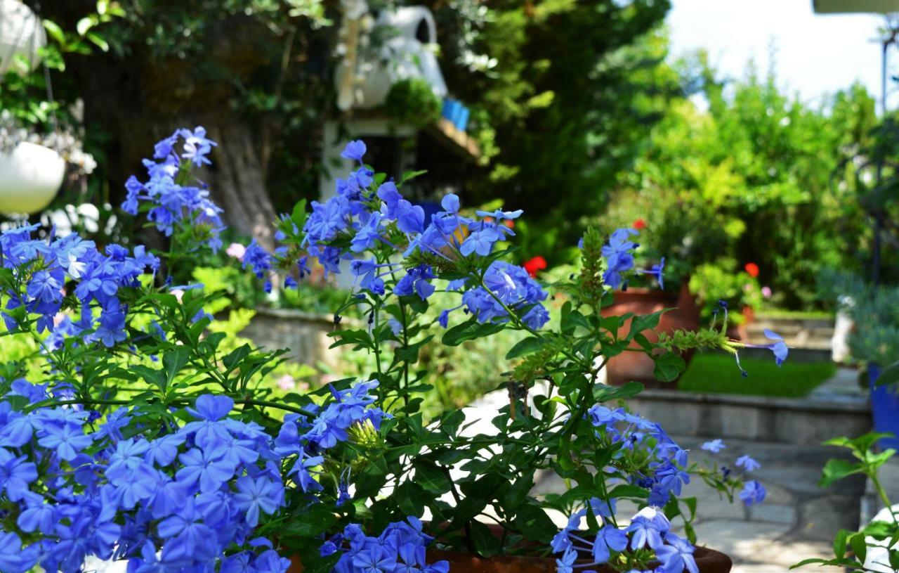 Вілла Sonia'S House With Garden Геракіні Екстер'єр фото